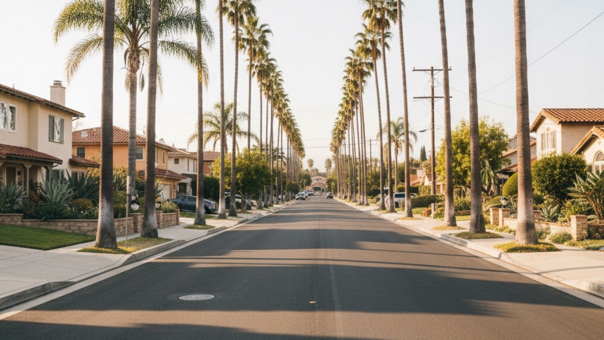 A quiet suburban street with palm trees and wide sidewalks