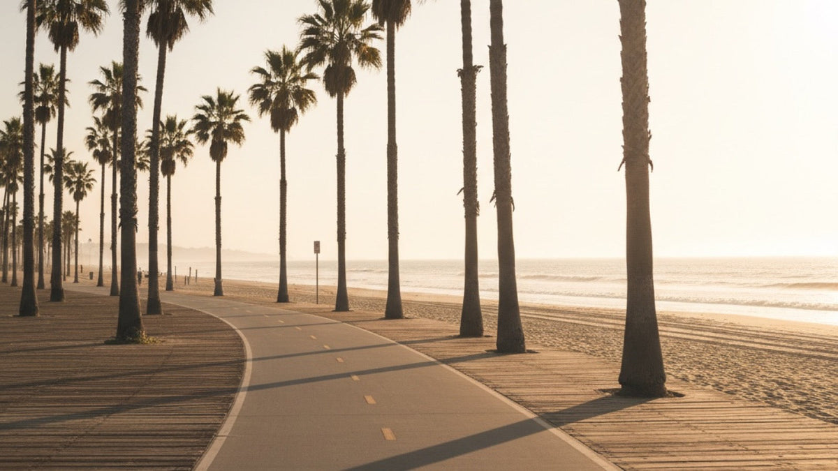 An empty beach boardwalk bike path lined with palm trees at golden hour