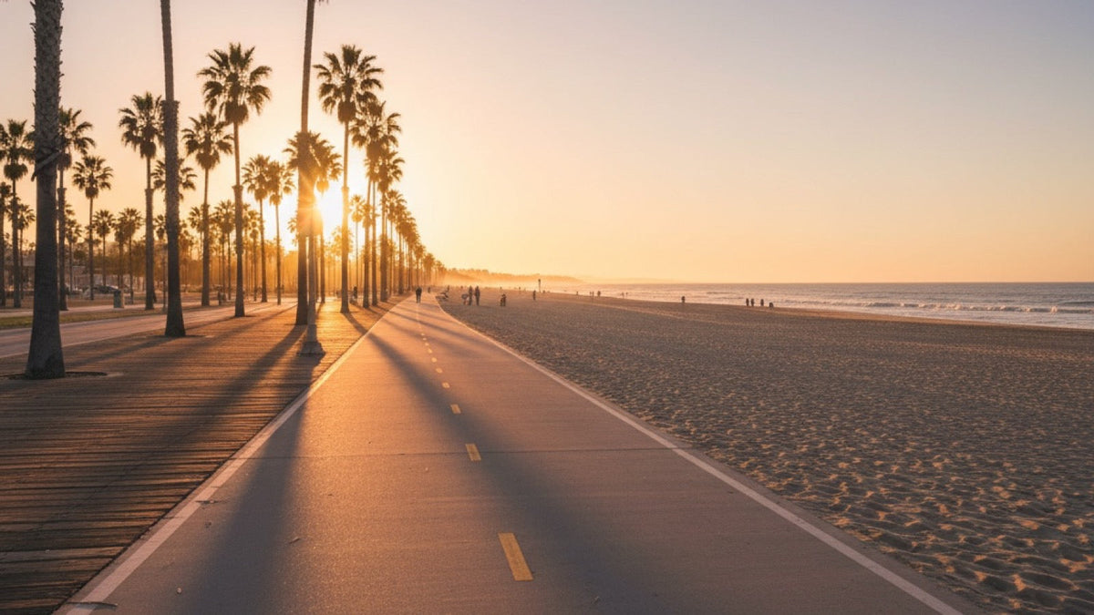 An empty beach boardwalk bike path lined with palm trees at golden hour