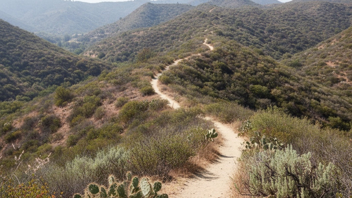 A dry singletrack trail winding through chaparral hills