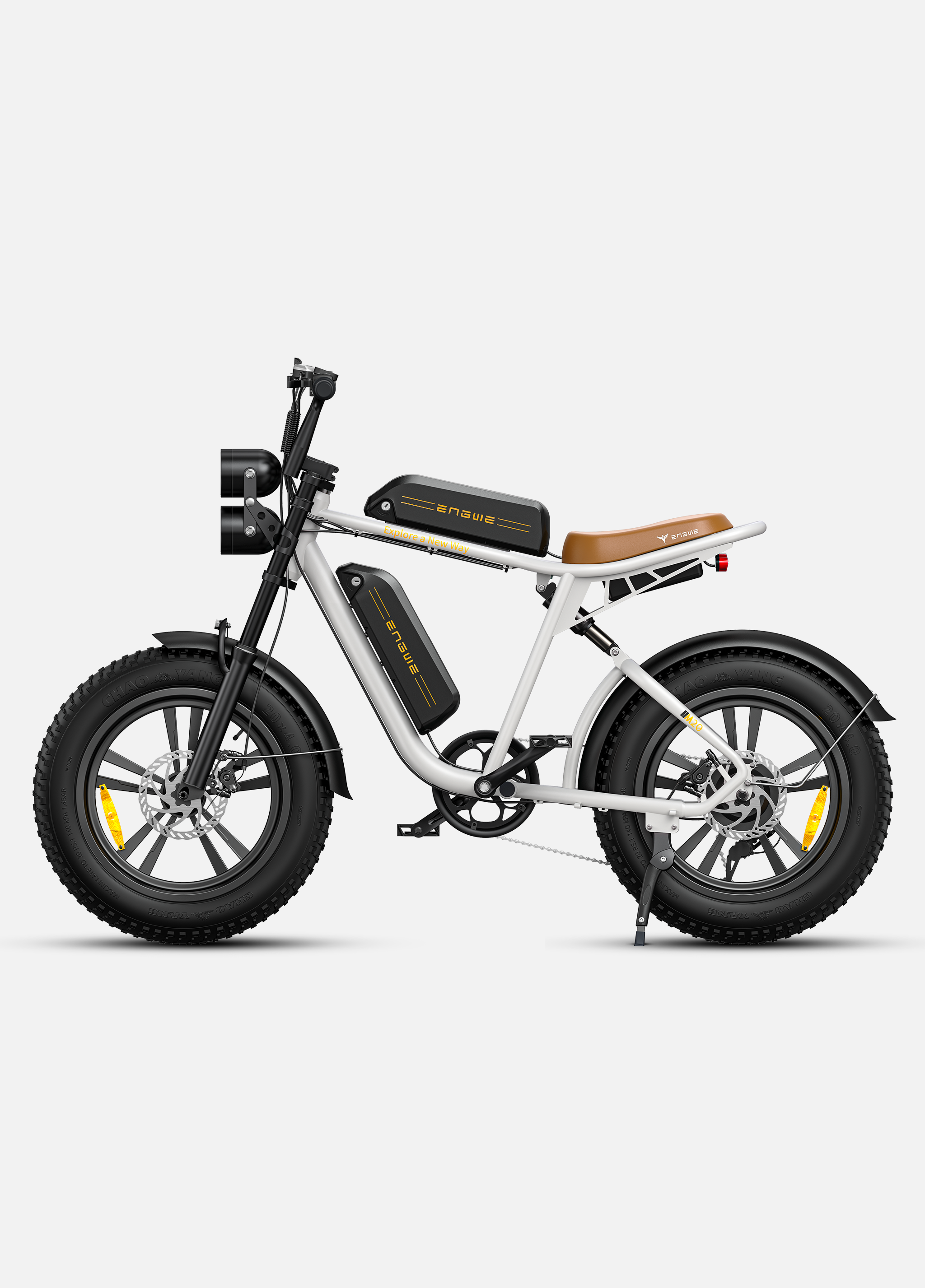 Engwe M20 Dual-Battery Electric Bike