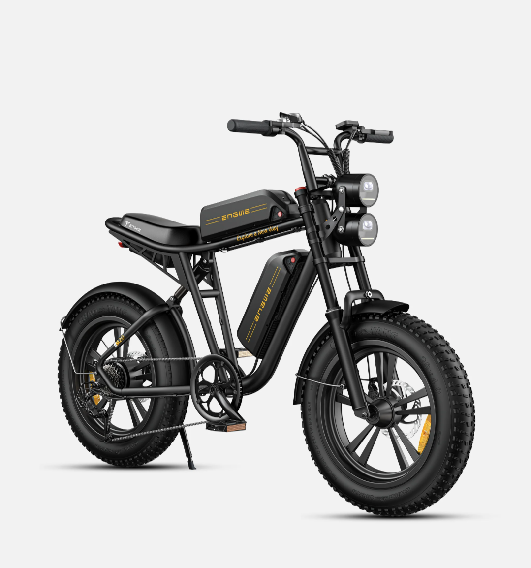 ENGWE M20