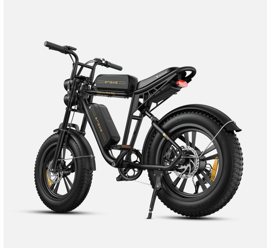 ENGWE M20
