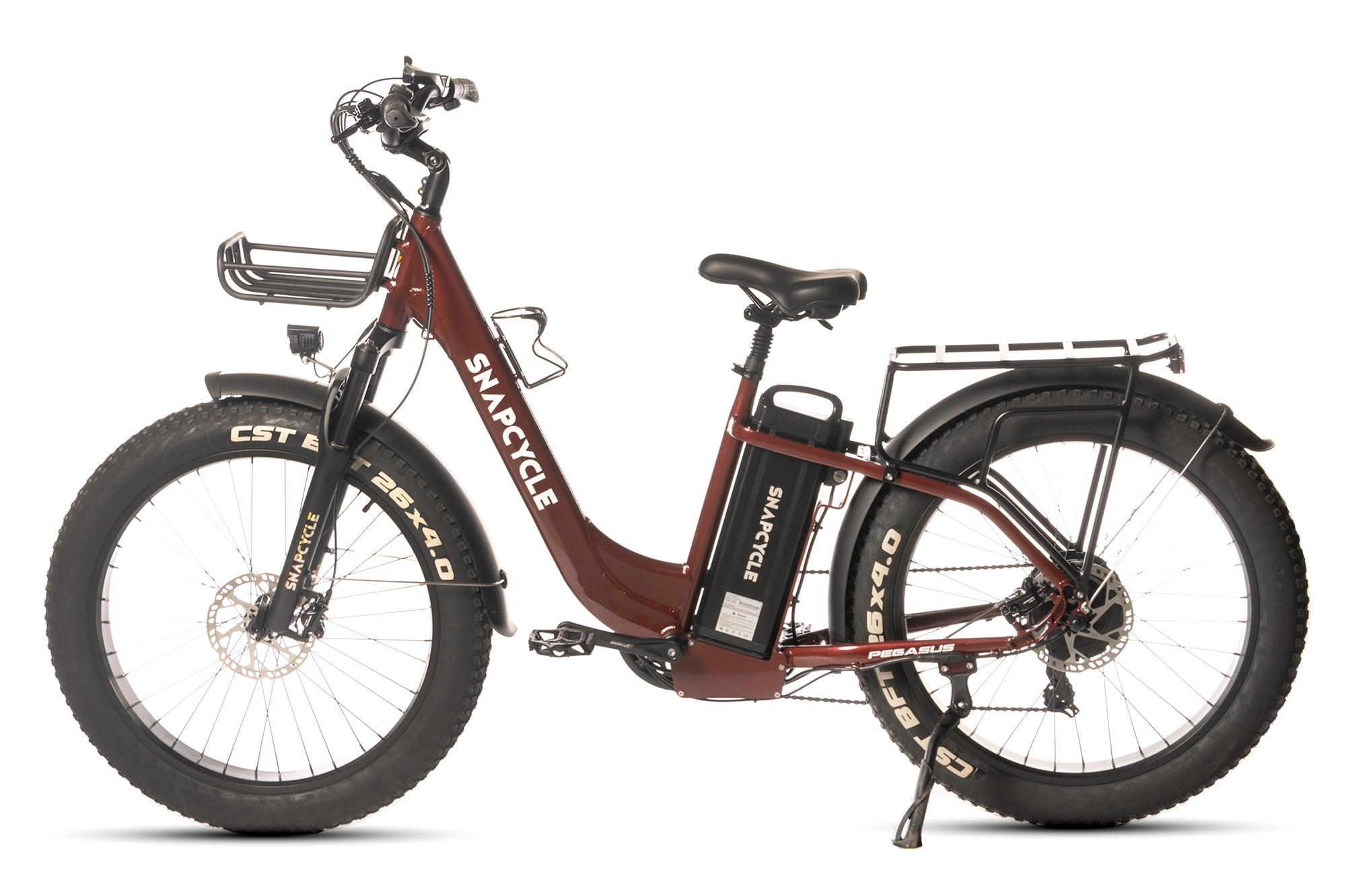Snapcycle Pegasus Lite