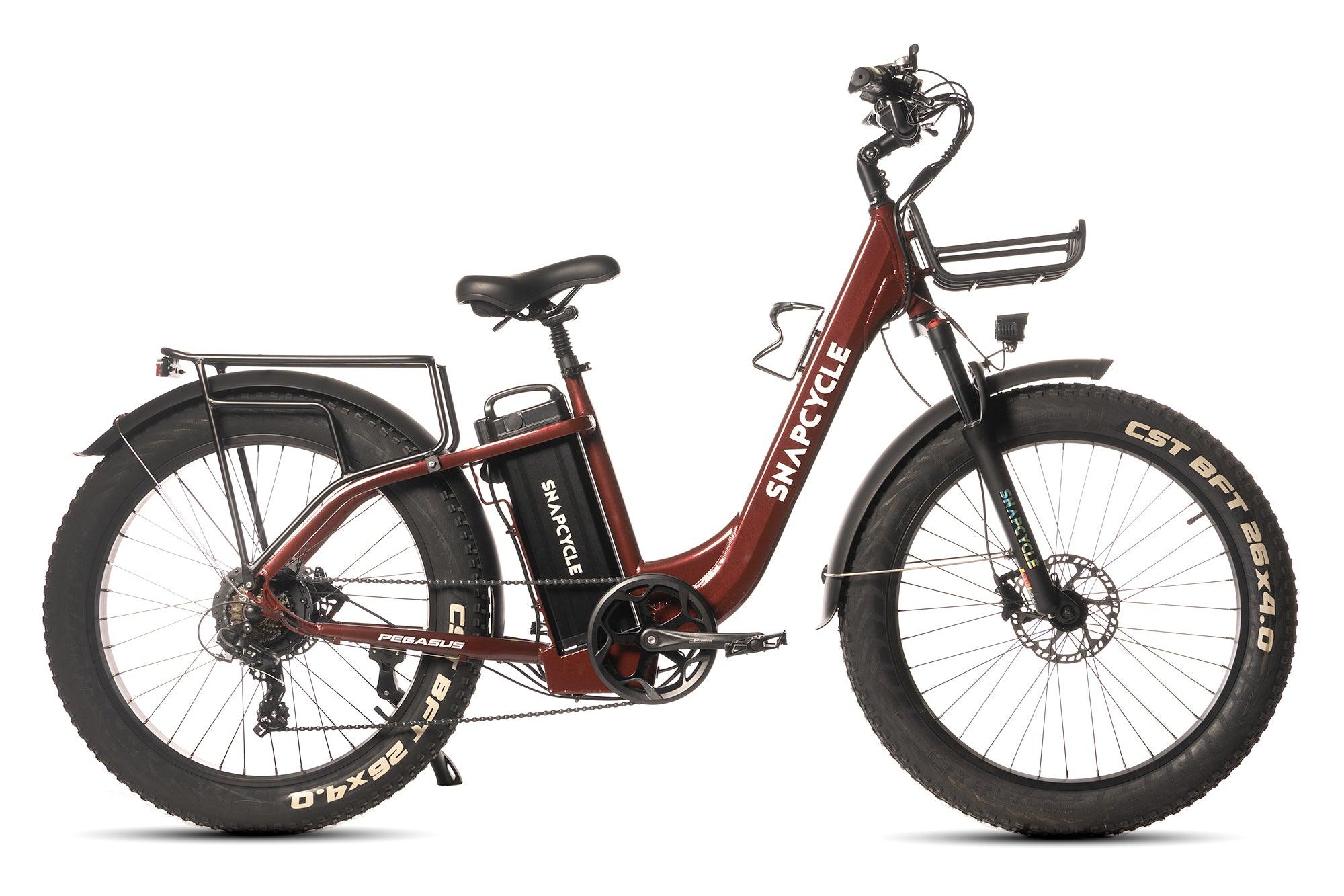 Snapcycle Pegasus Lite