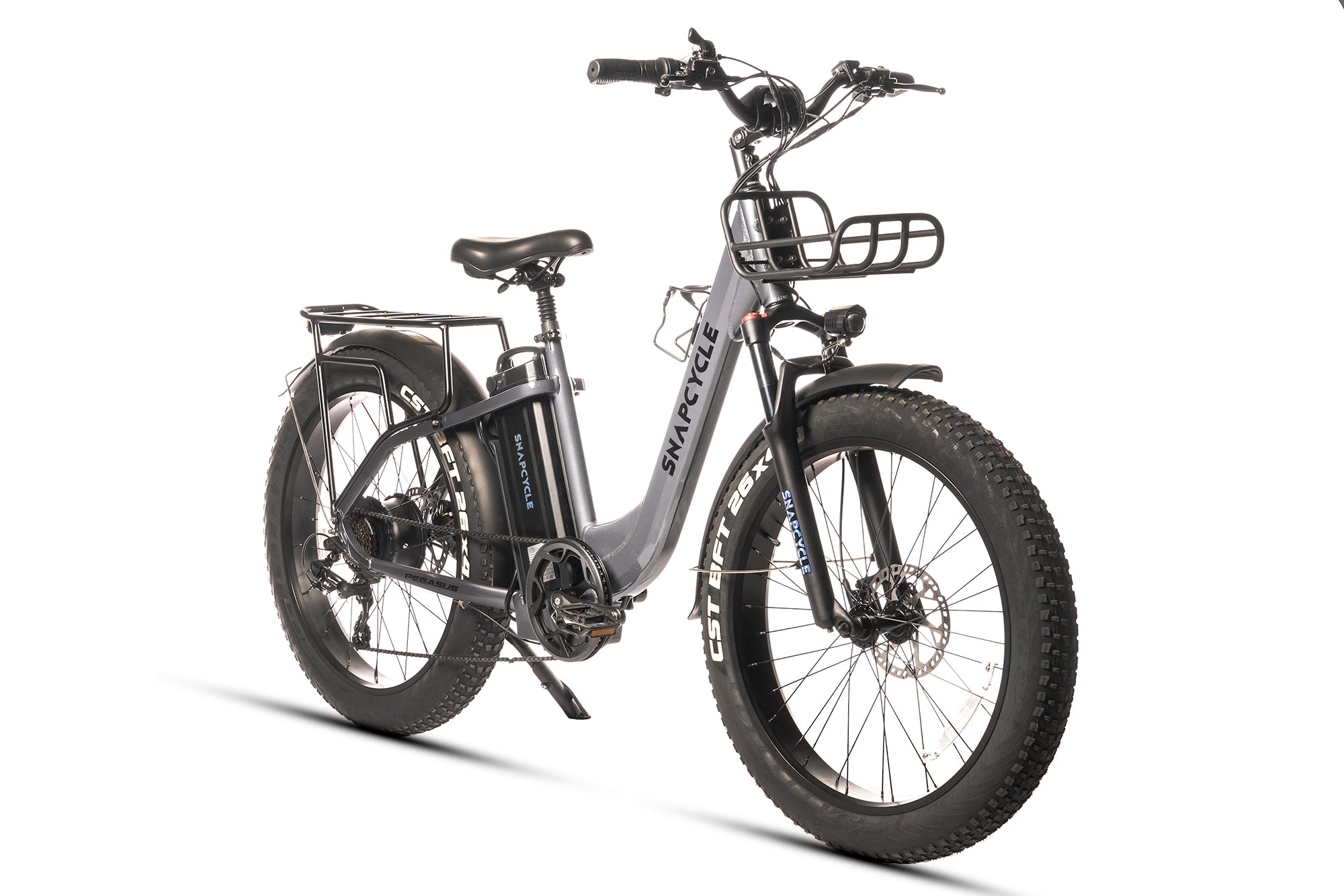 Snapcycle Pegasus