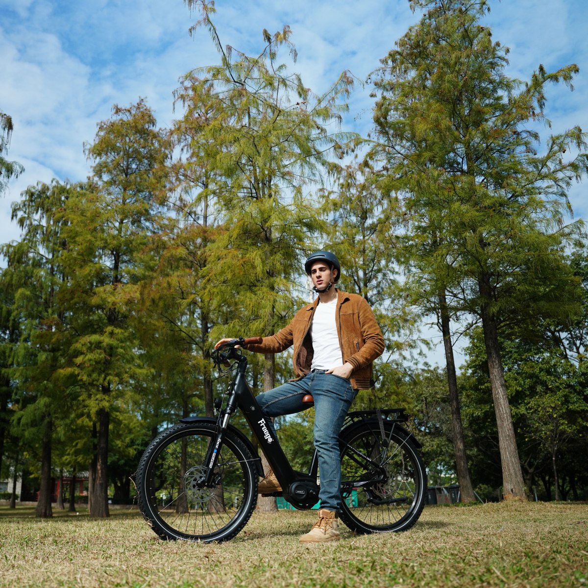 Freego City Flow A1 Electric Commuter Bike