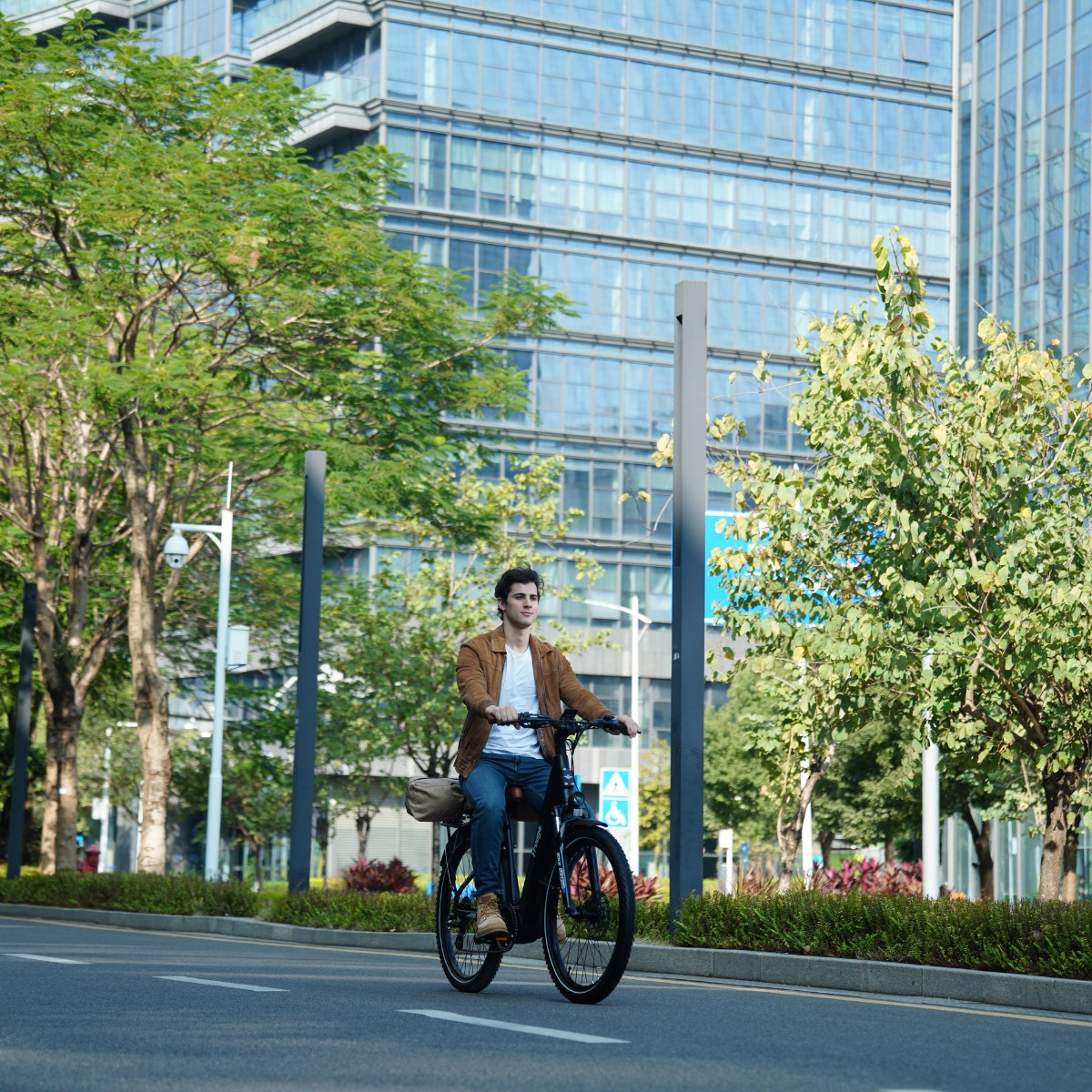 Freego City Flow A1 Electric Commuter Bike