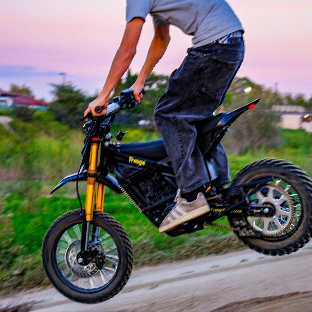 Freego N5 Mini Electric Bike