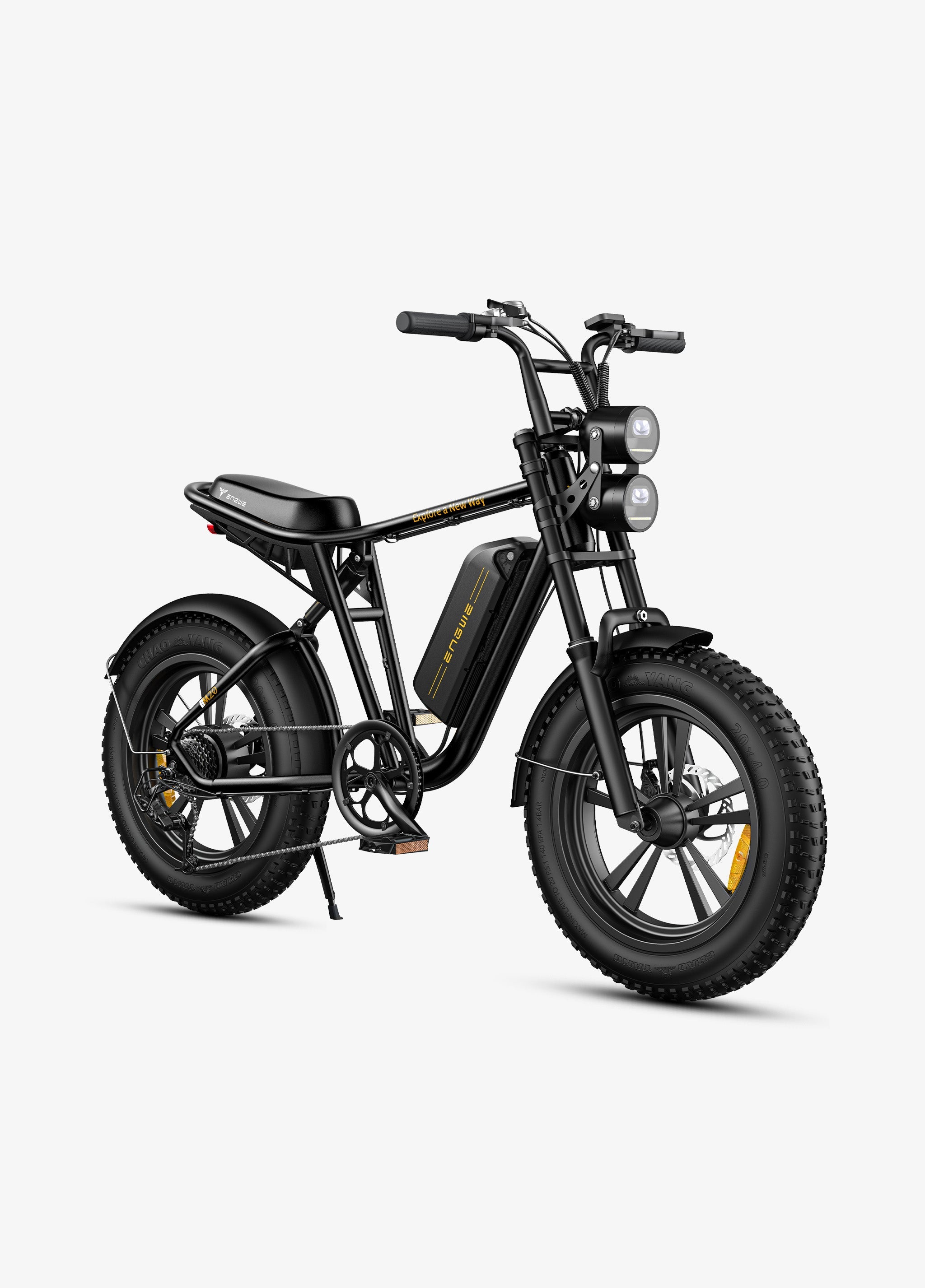 Engwe M20 Dual-Battery Electric Bike