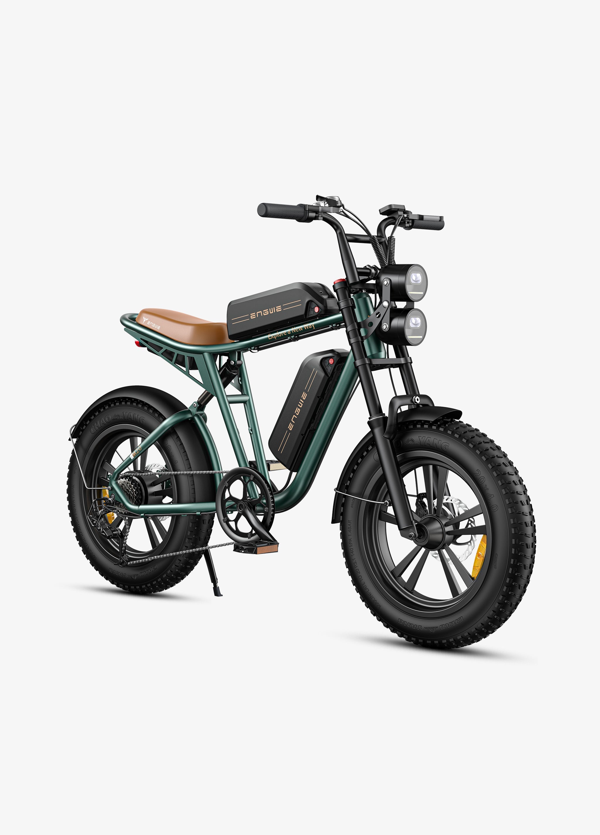 Engwe M20 Dual-Battery Electric Bike