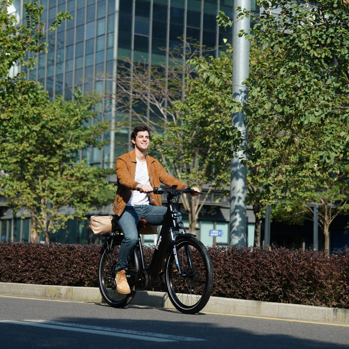 Freego City Flow A1 Electric Commuter Bike