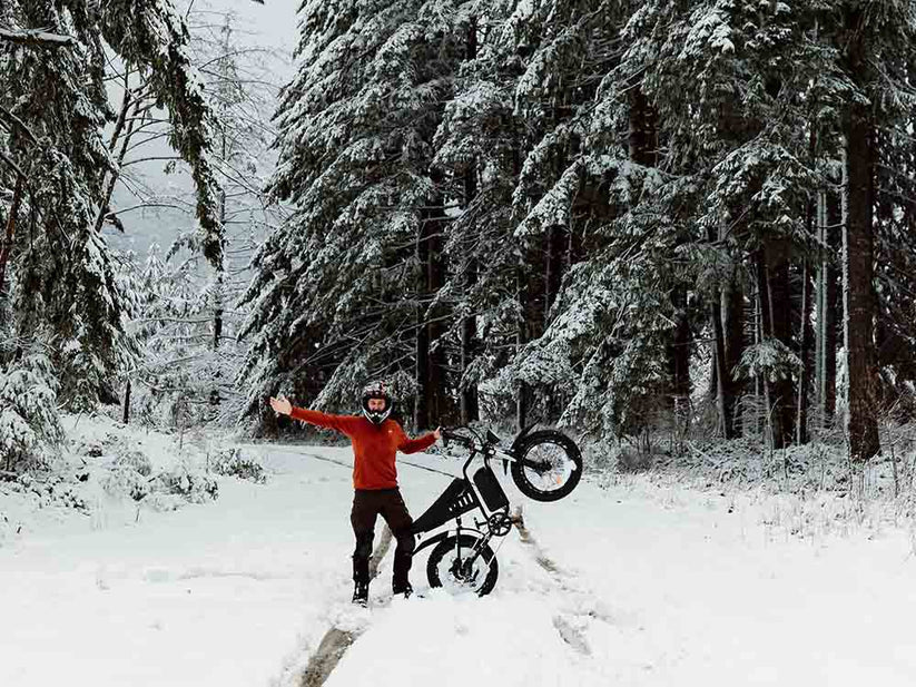 Nachbike Swift S1 Motorcycle Electric Bike