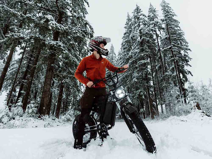 Nachbike Swift S1 Motorcycle Electric Bike