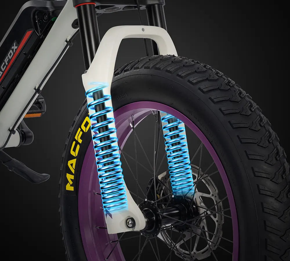 Macfox E-bike X1S x Bs.zay