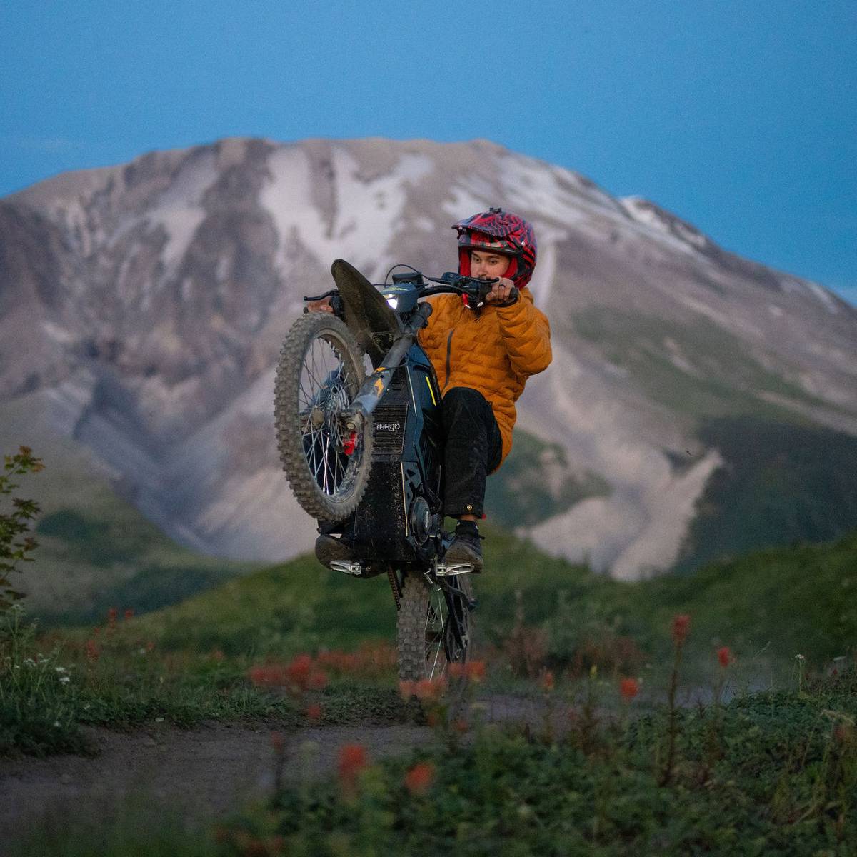 Freego Nova 5 Electric Bike
