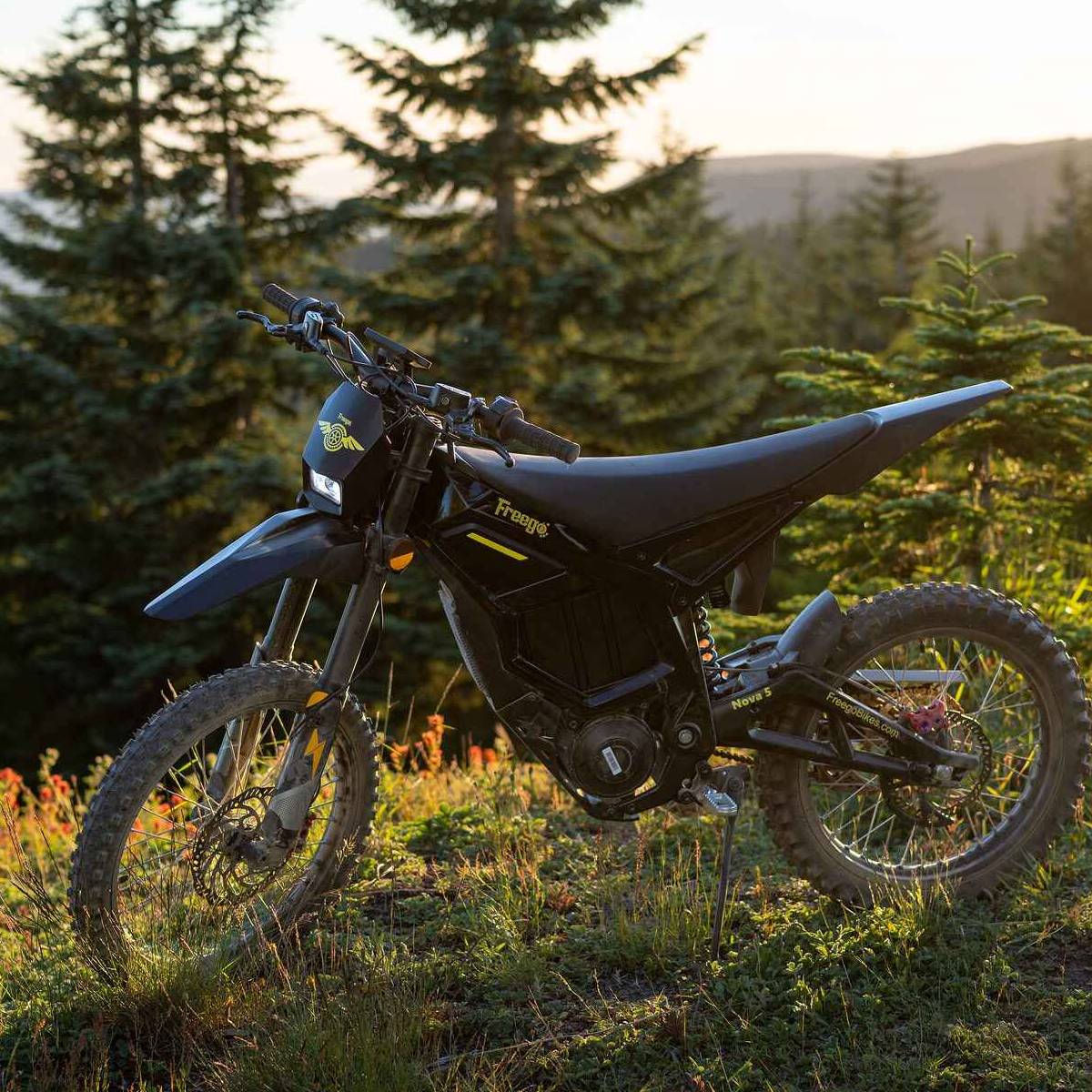 Freego Nova 5 Electric Bike