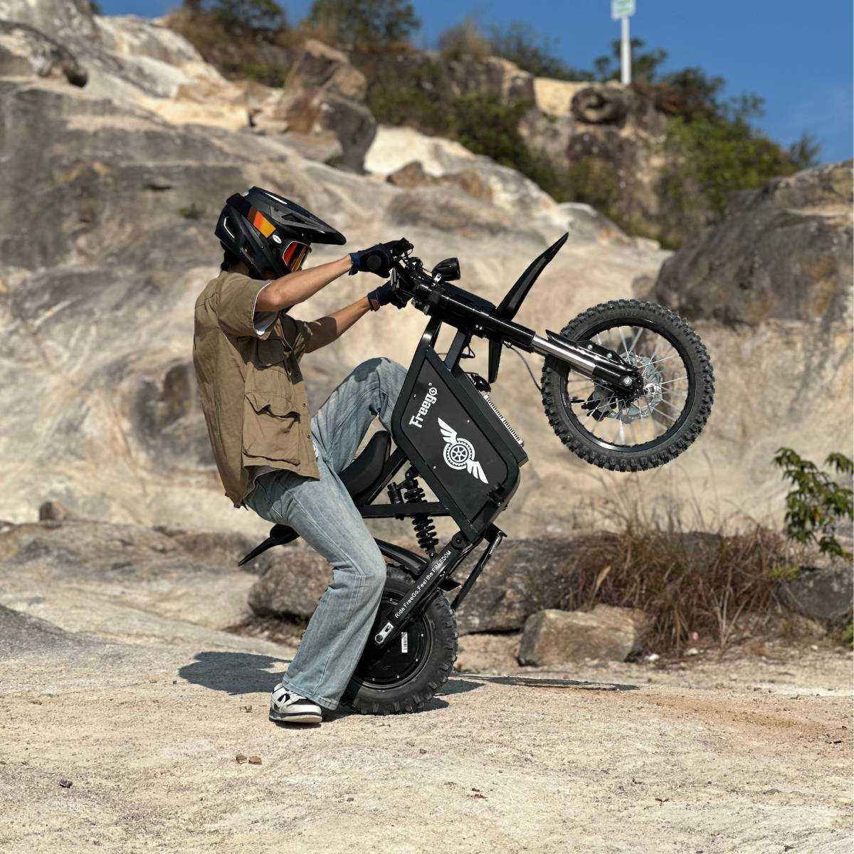 Freego X0 Electric Mini Bike