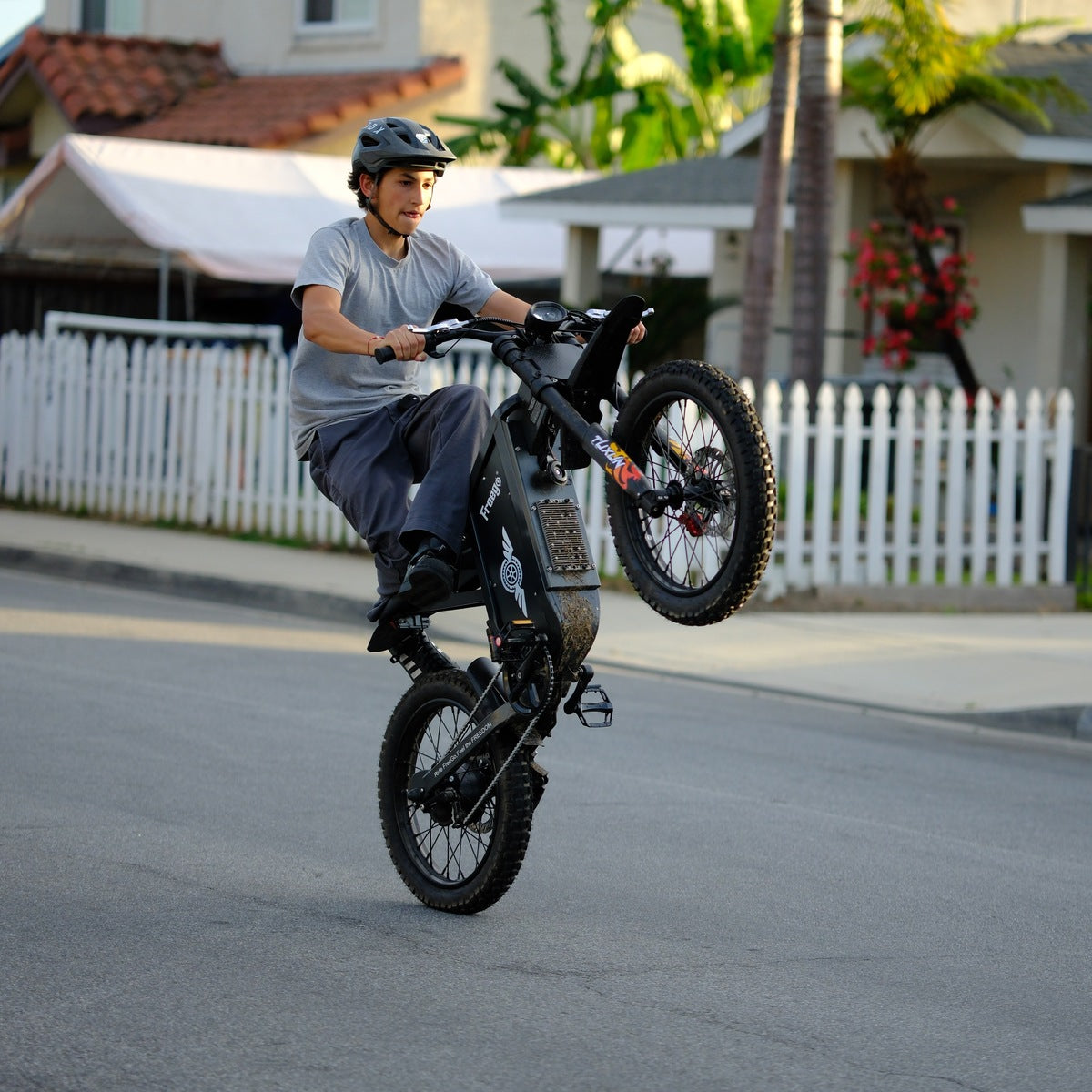 Freego X1 Electric Dirt Bike