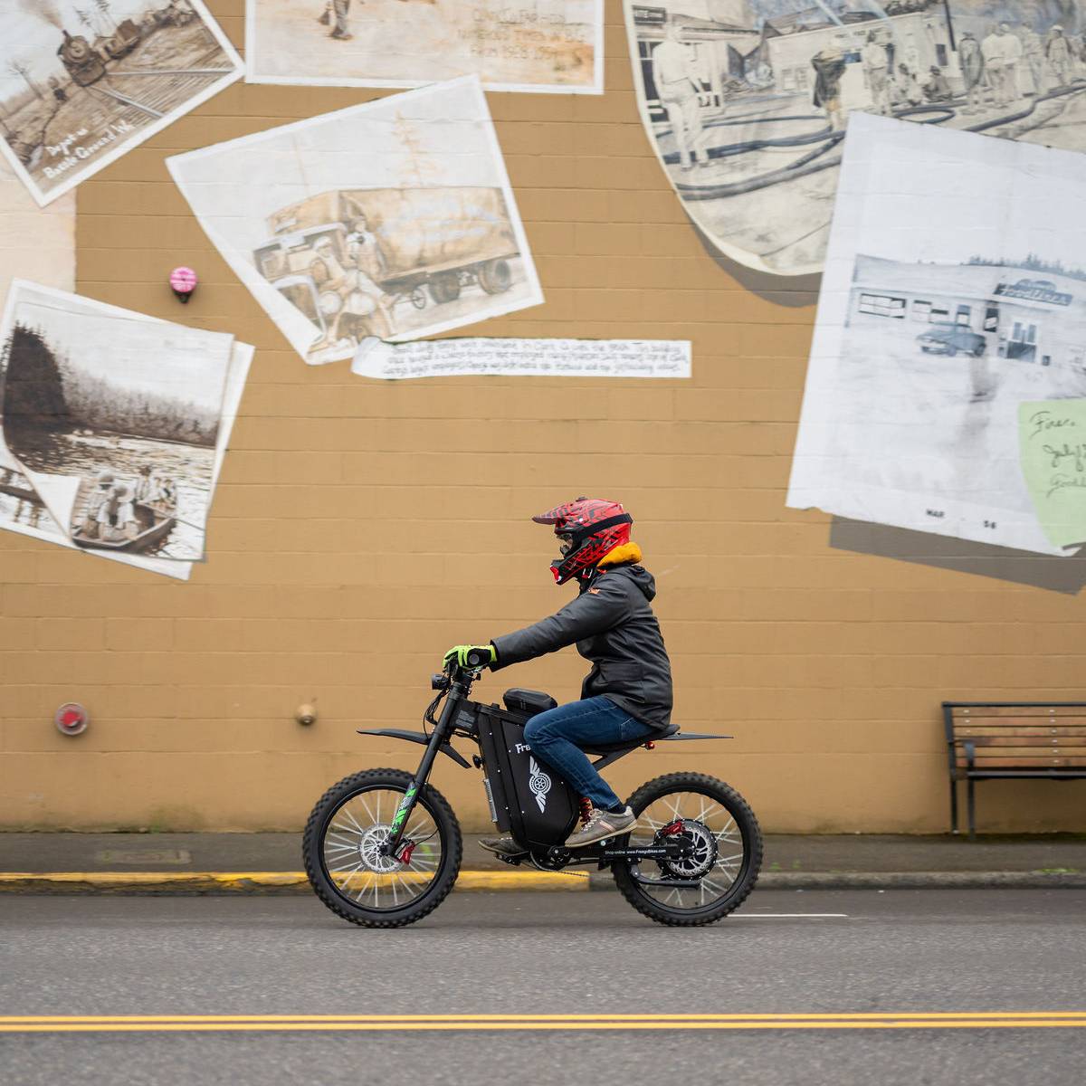 Freego X3 All-Terrain Electric Bike
