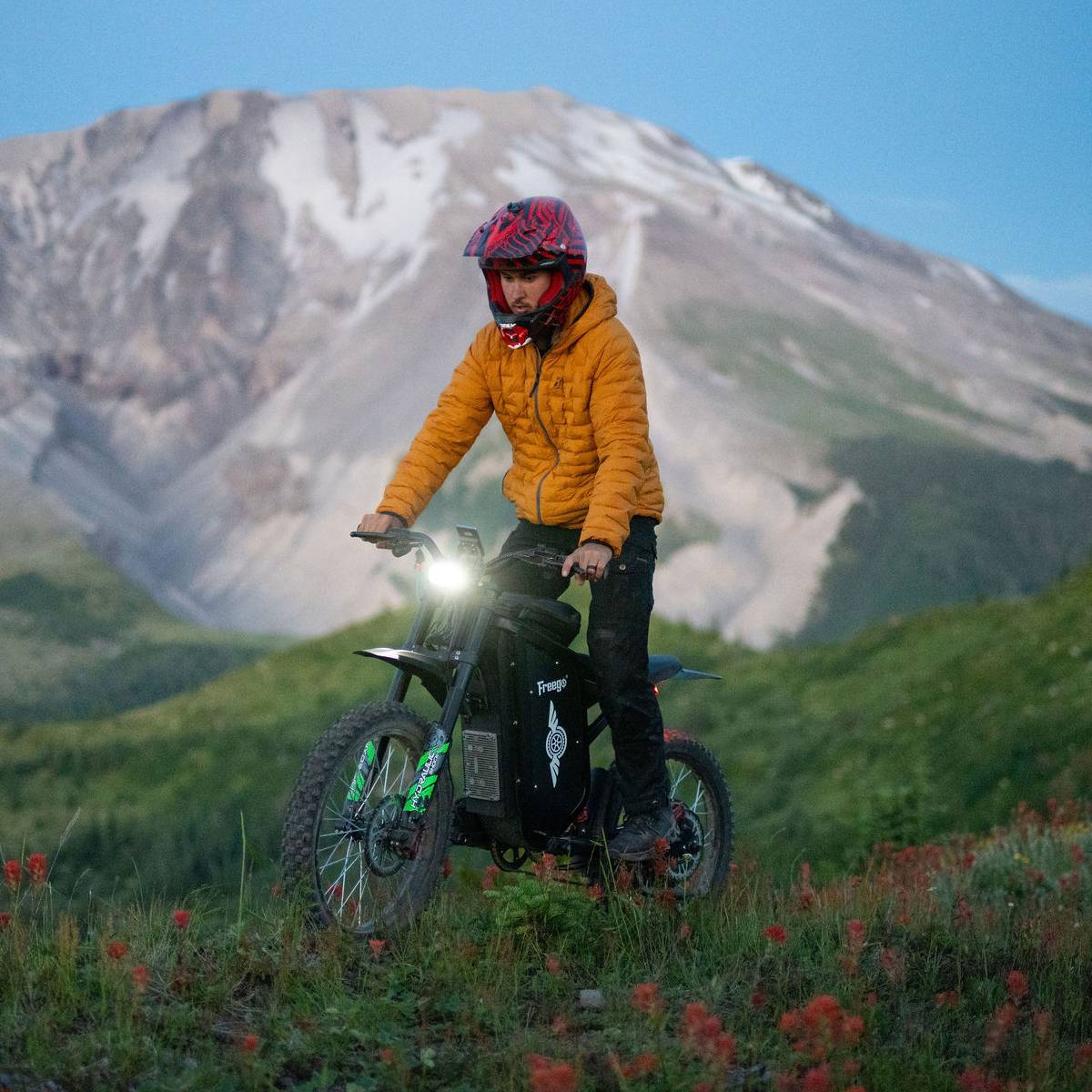 Freego X3 All-Terrain Electric Bike
