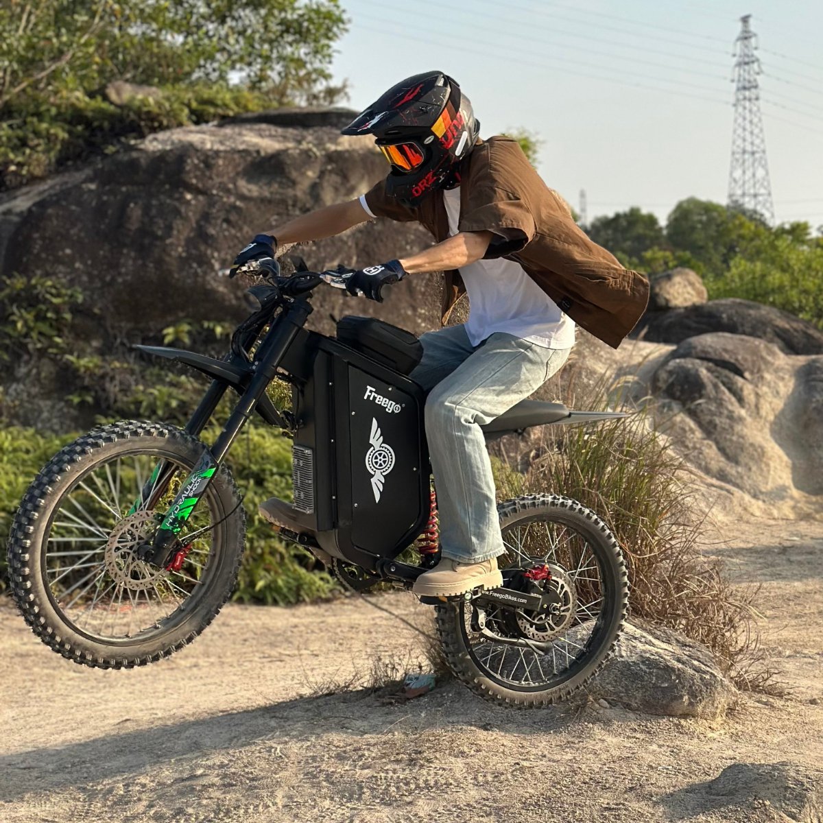 Freego X3 All-Terrain Electric Bike