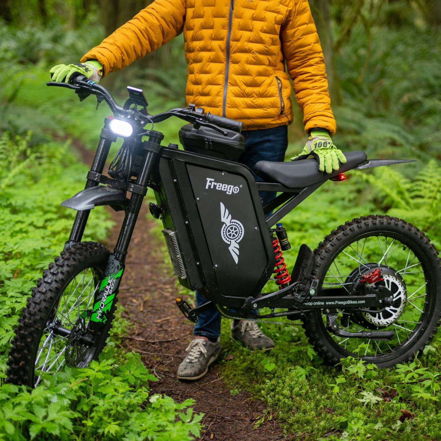 Freego X3 All-Terrain Electric Bike
