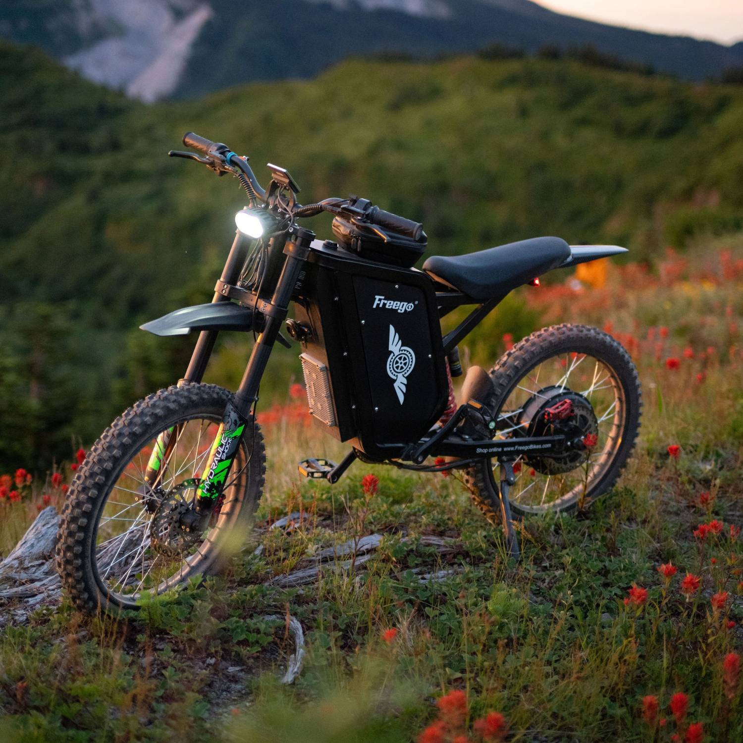 Freego X3 All-Terrain Electric Bike