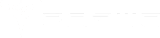 Engwe