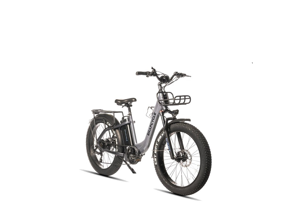 Snapcycle Pegasus