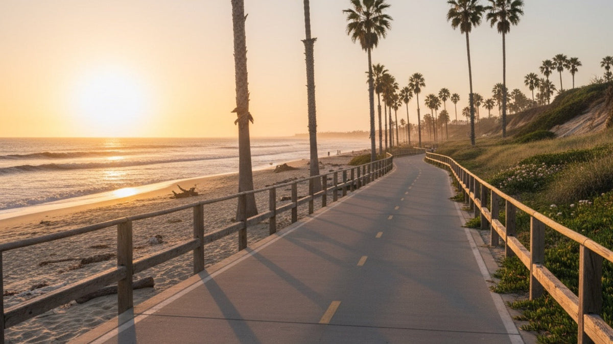 An empty beach boardwalk bike path lined with palm trees at golden hour