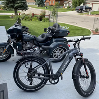 Open Box ebike