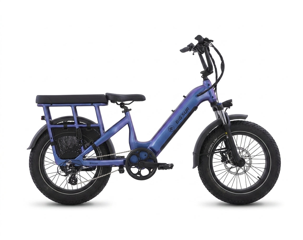 Electric Trikes and Cargo Bikes at ATB Bike