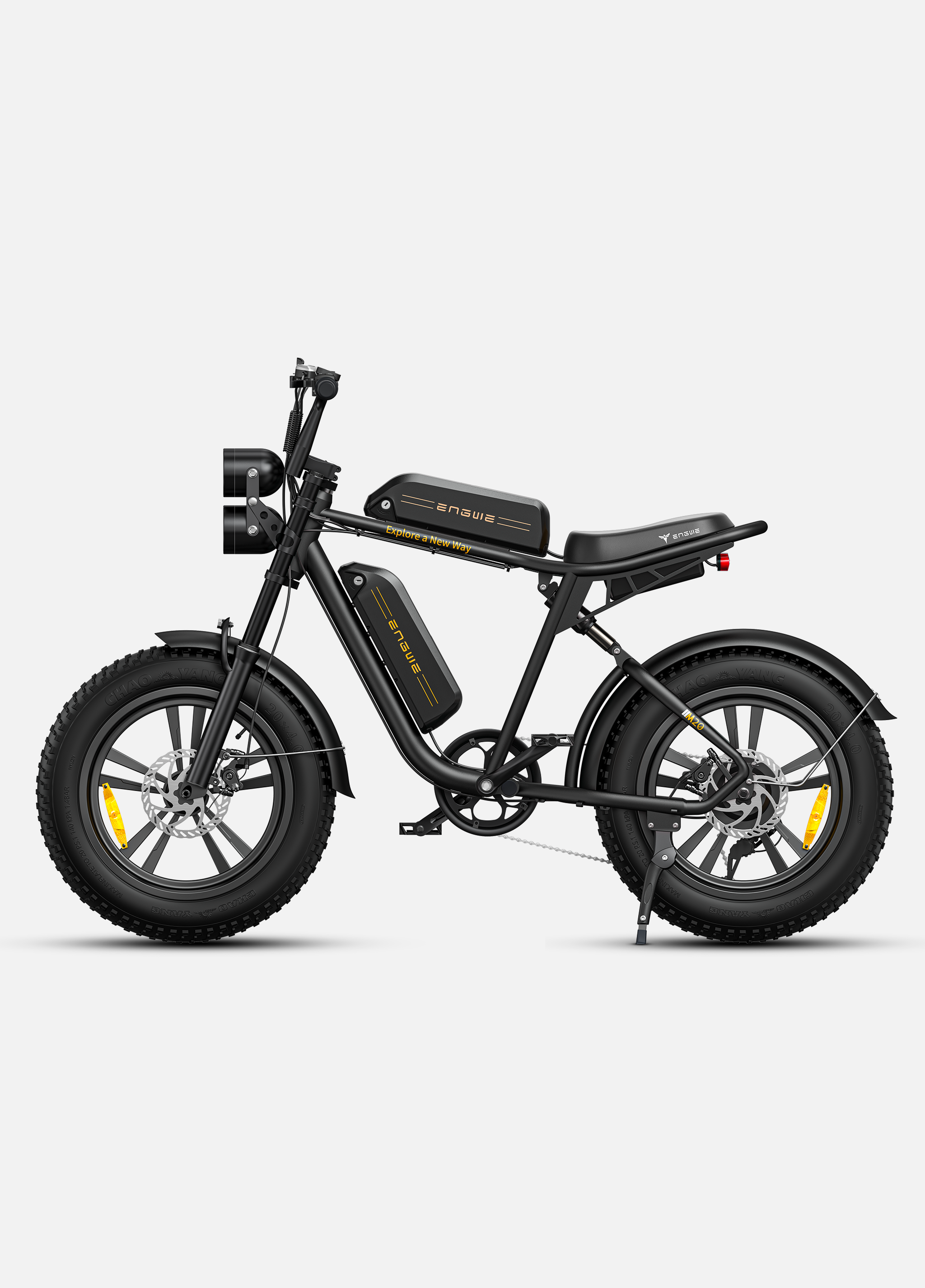 Engwe M20 Dual-Battery Electric Bike