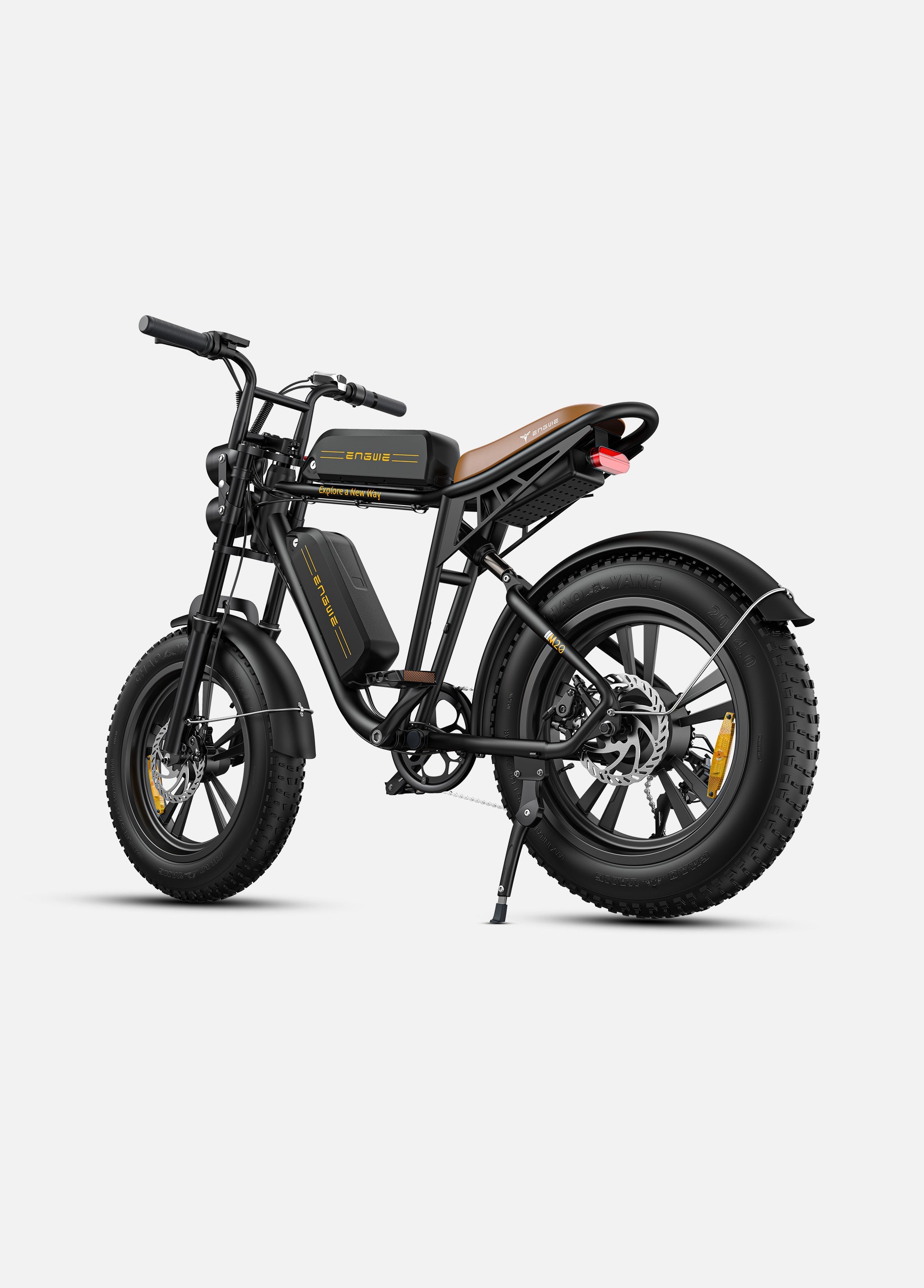 Engwe M20 Dual-Battery Electric Bike
