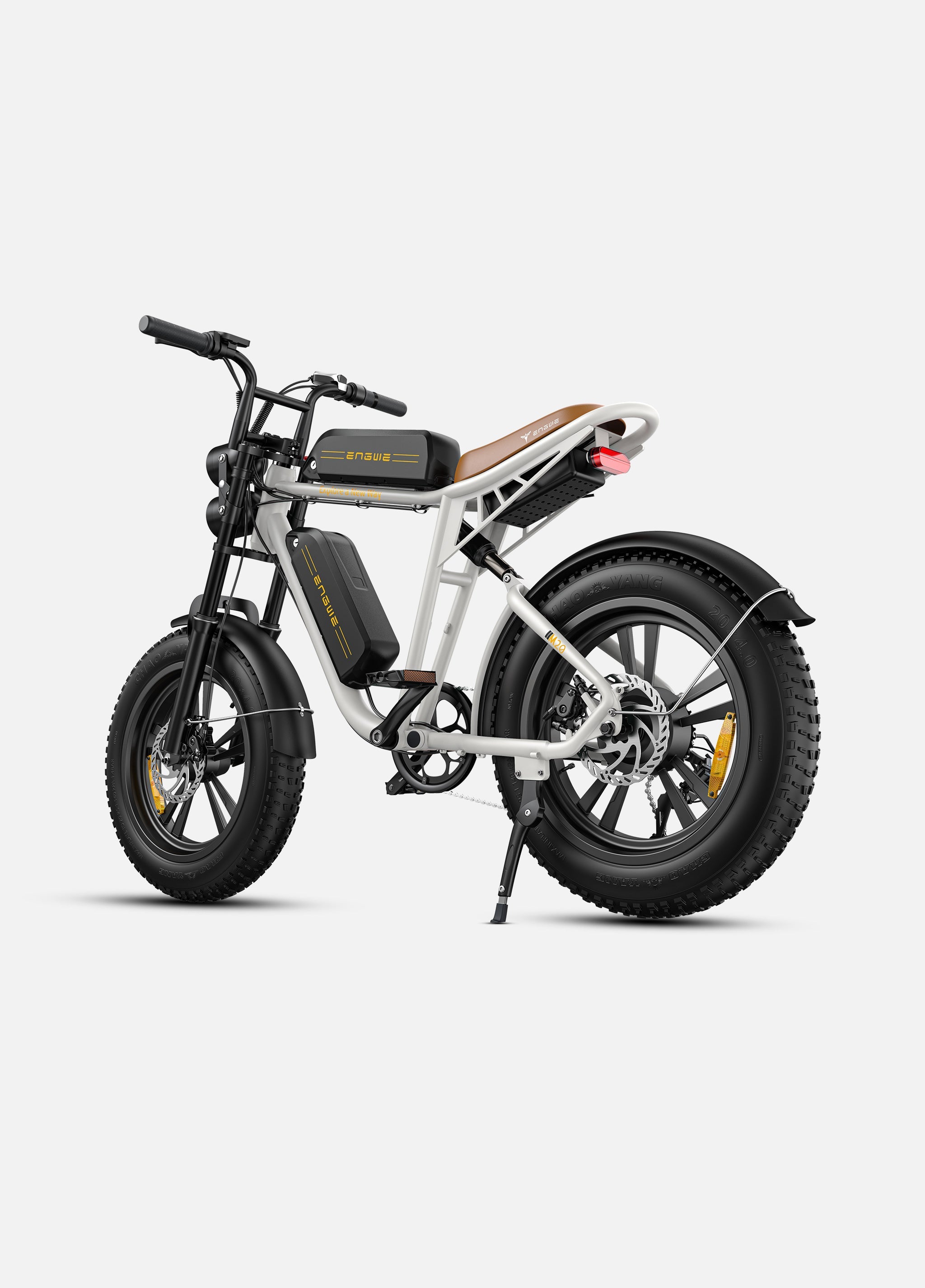 Engwe M20 Dual-Battery Electric Bike