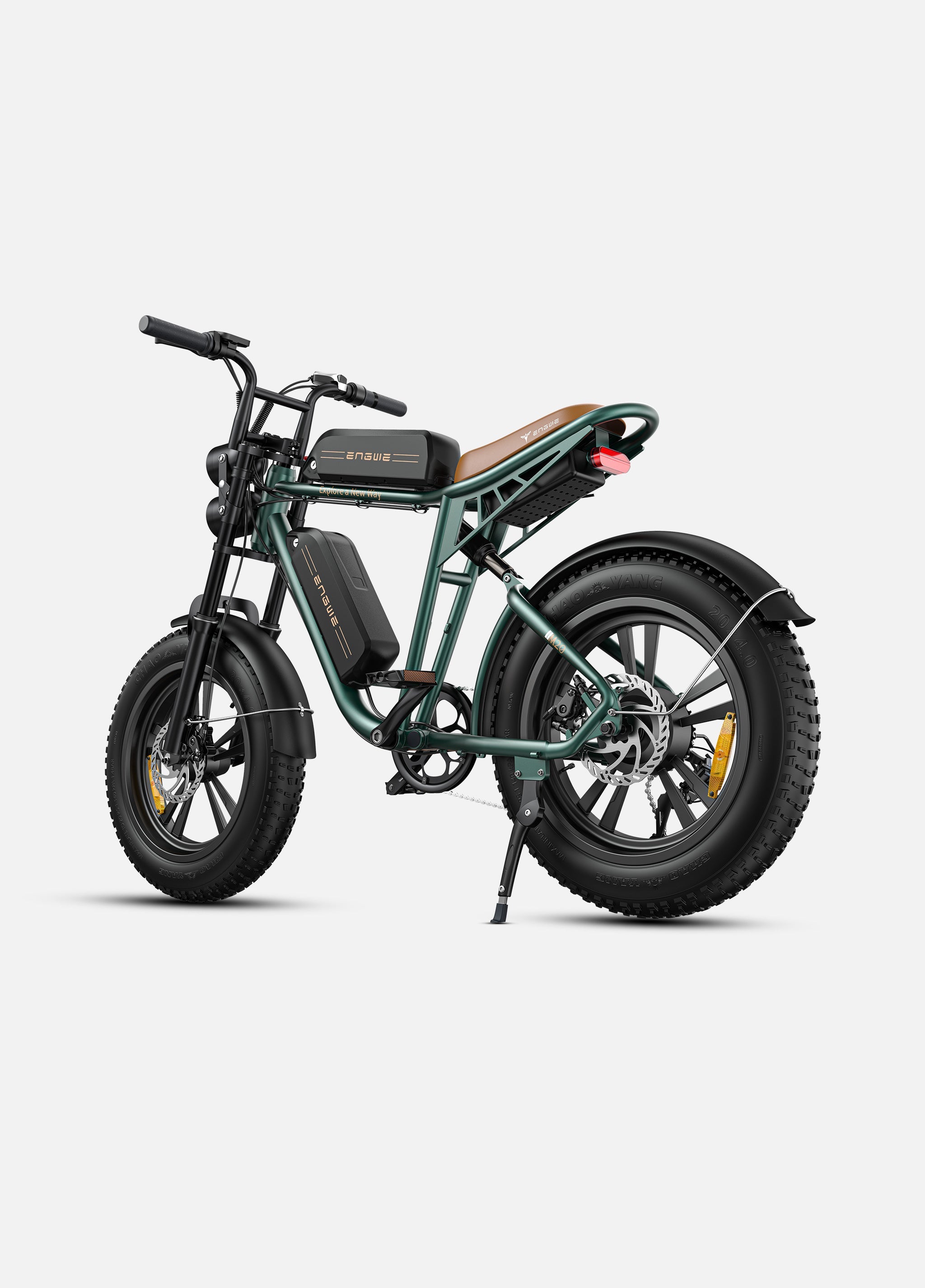 Engwe M20 Dual-Battery Electric Bike