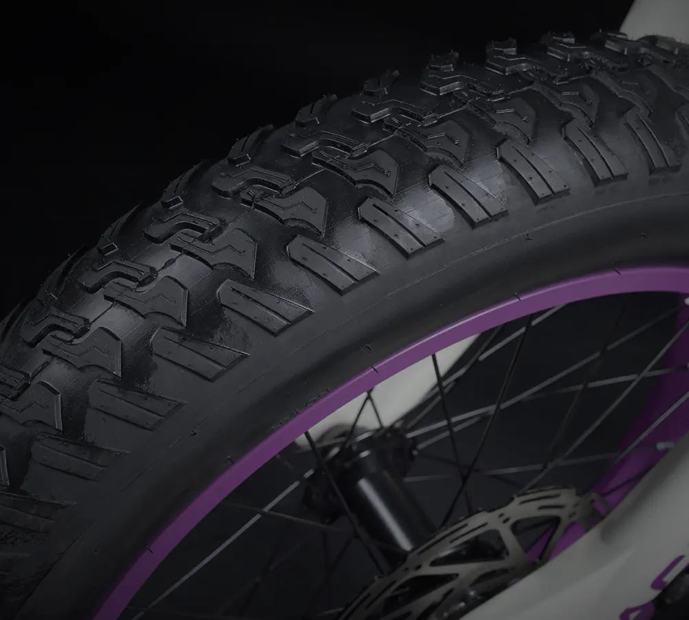 Macfox E-bike X1S x Bs.zay