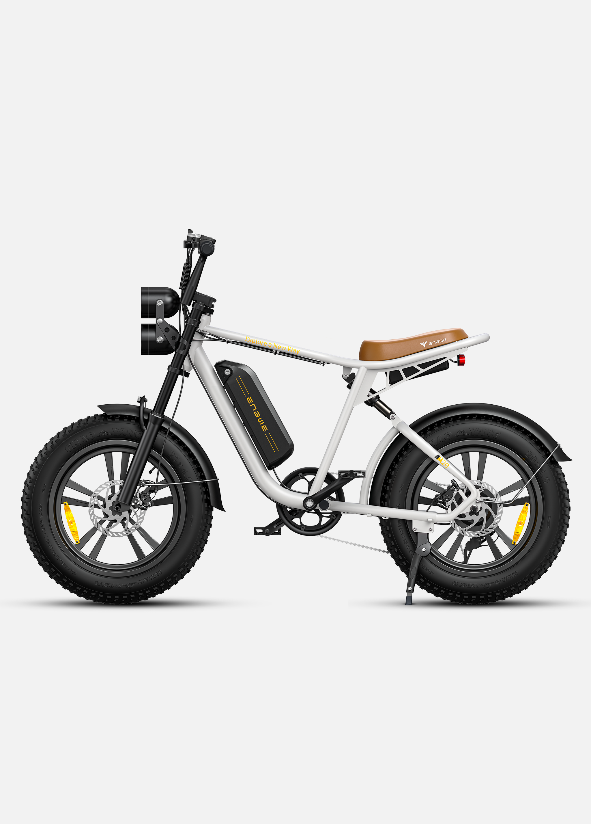 Engwe M20 Dual-Battery Electric Bike