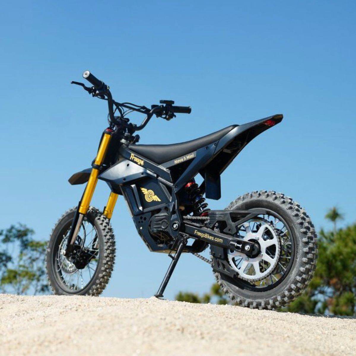 Freego N5 Mini Electric Bike
