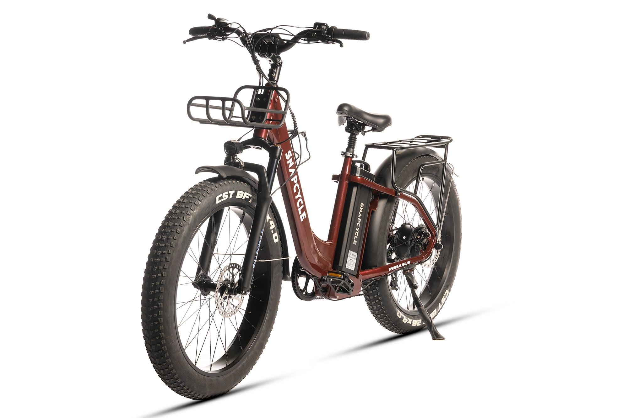 Snapcycle Pegasus Lite