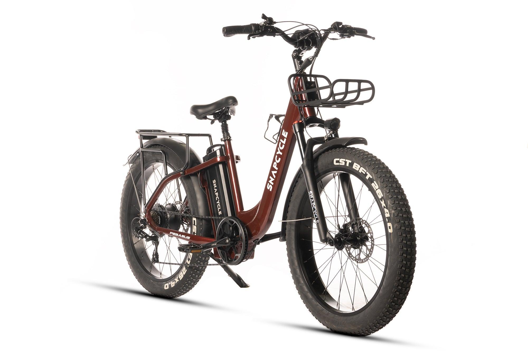 Snapcycle Pegasus Lite