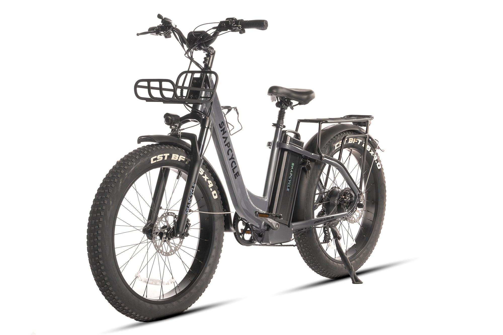 Snapcycle Pegasus Lite