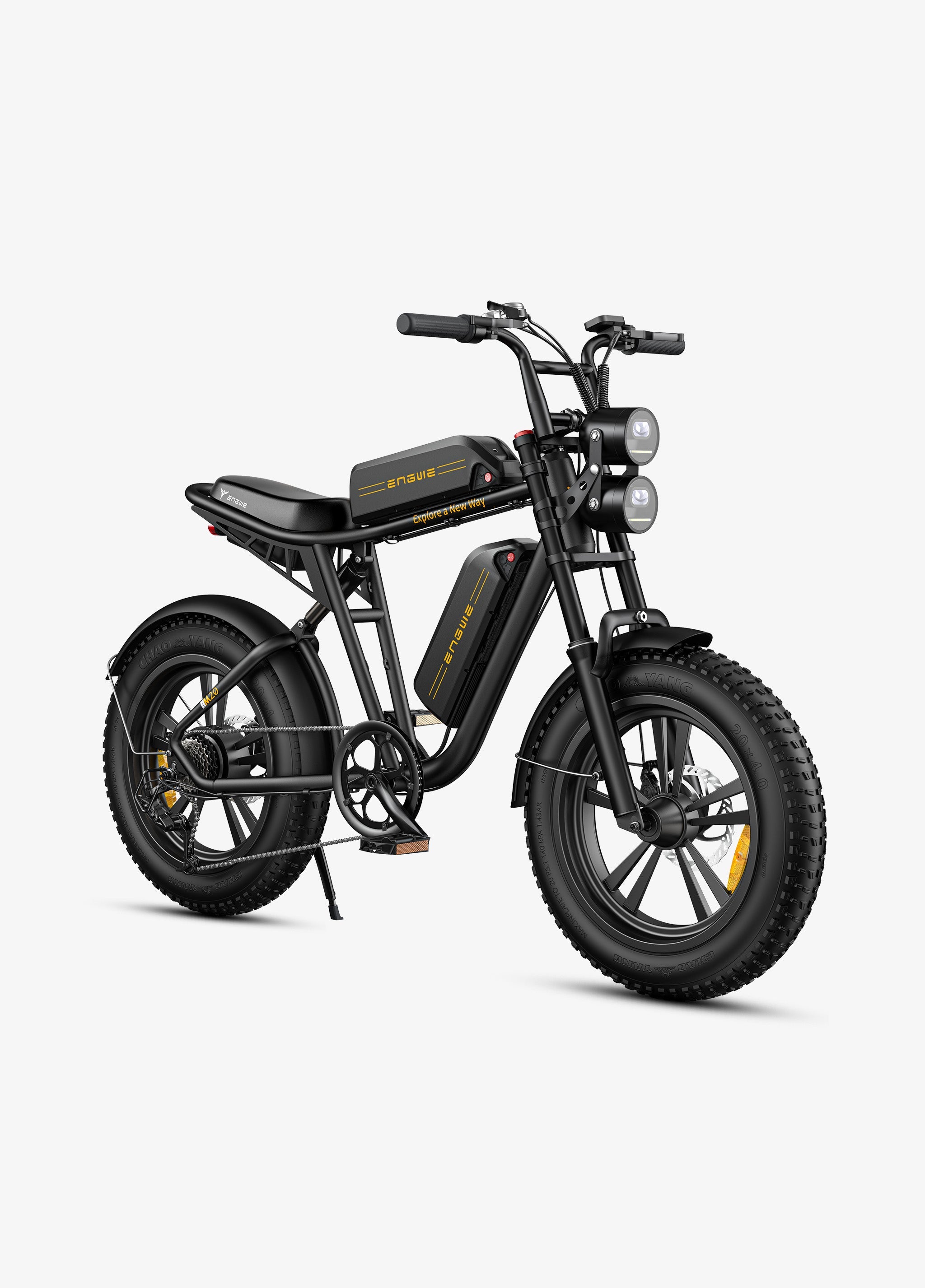 Engwe M20 Dual-Battery Electric Bike