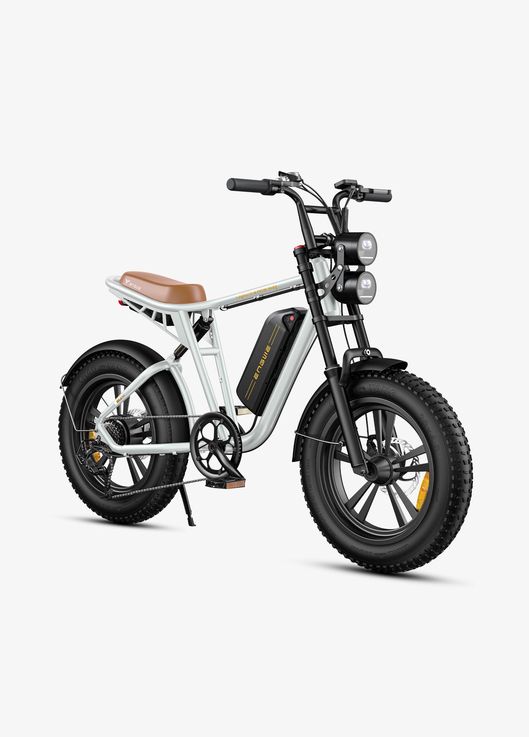 Engwe M20 Dual-Battery Electric Bike