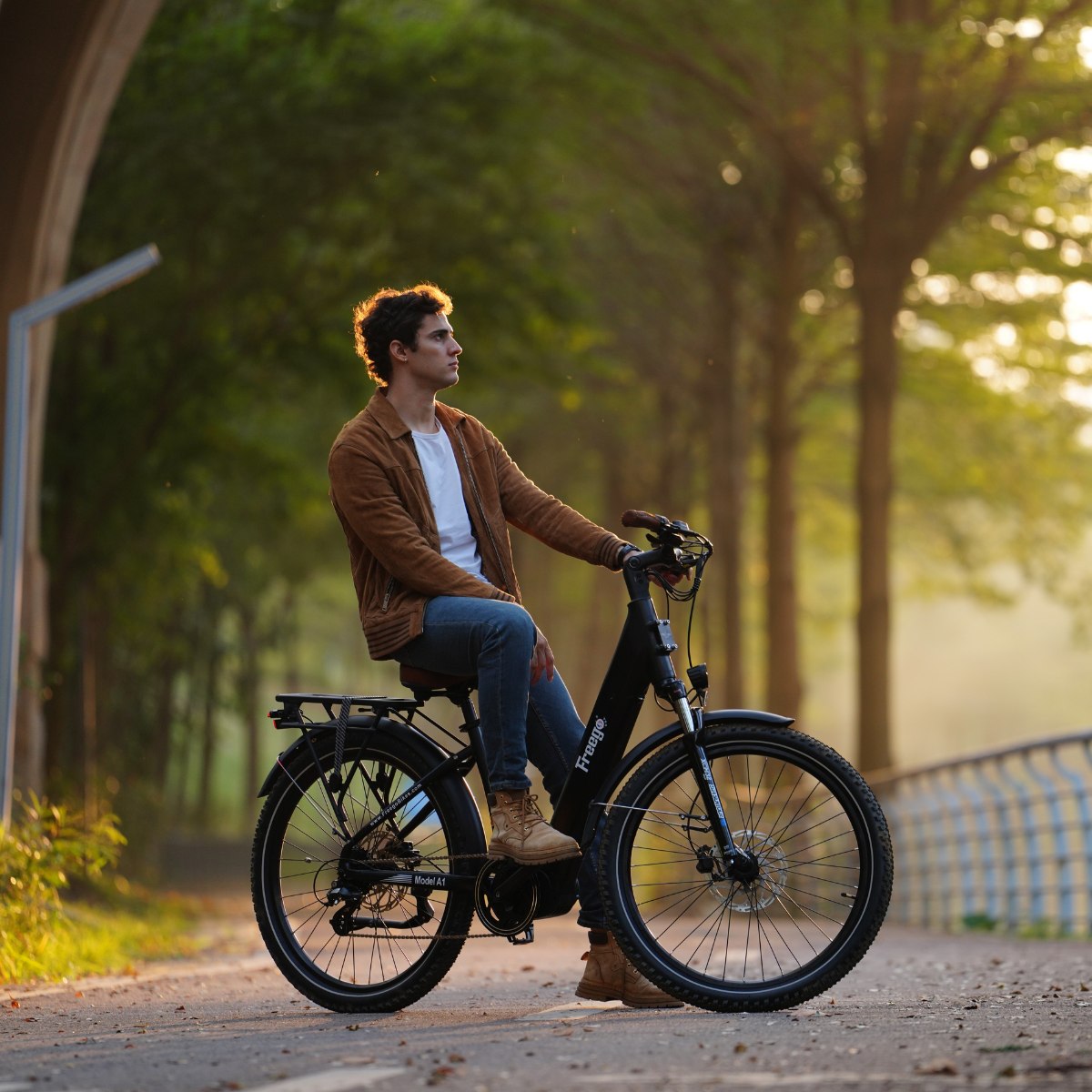 Freego City Flow A1 Electric Commuter Bike