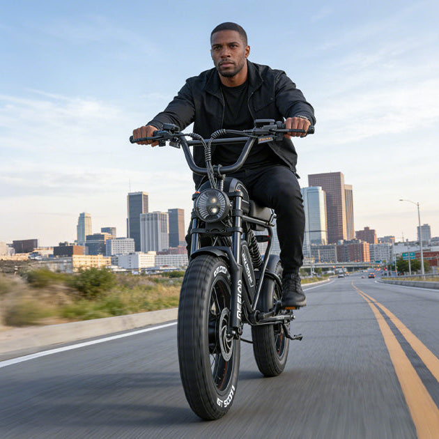 Meelod DK300MAX Long Range Ebike