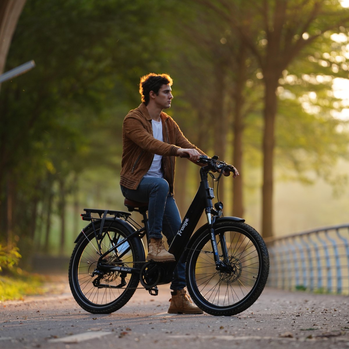 Freego City Flow A1 Electric Commuter Bike