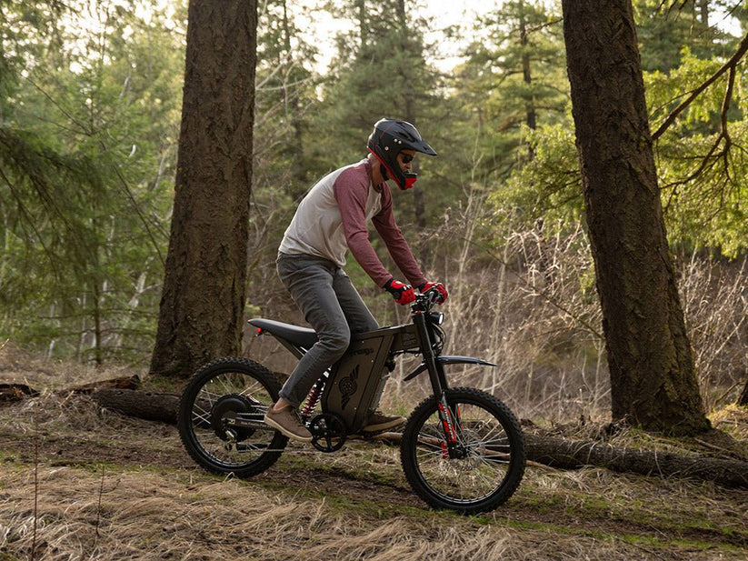 mountainbike bohuslän Freego X2 PRO 3000w Motor All Terrain Off Road Dirt Electric Mountain Bike, 60v, 30ah (1800Wh) Battery