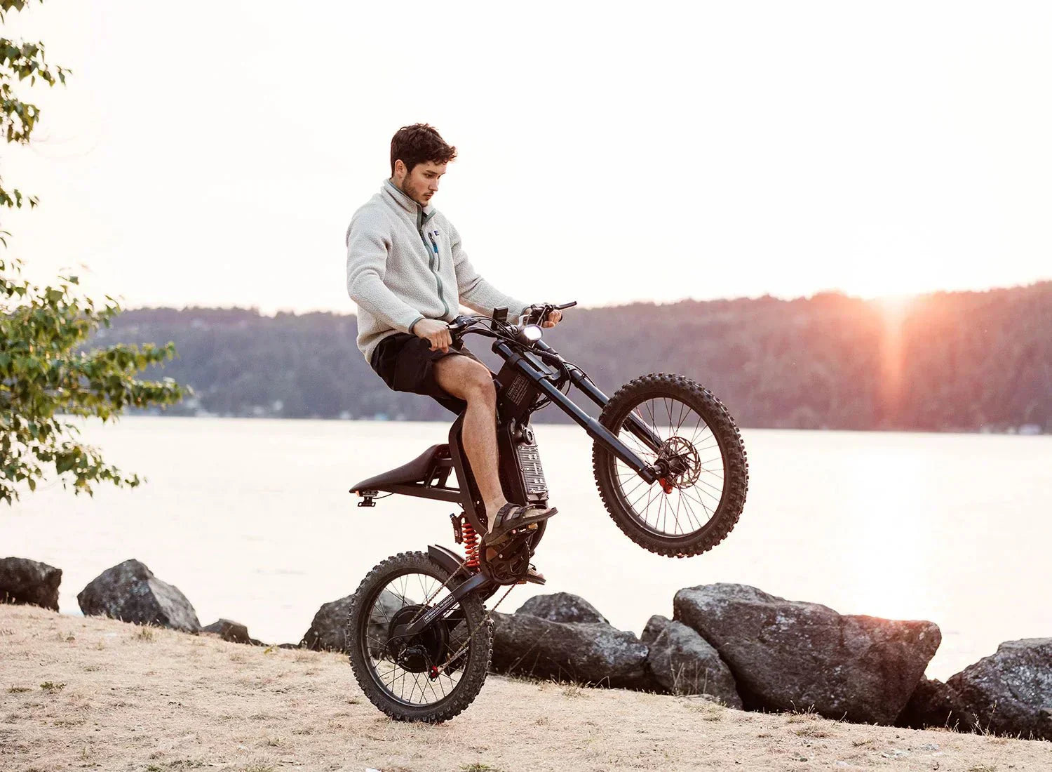 Freego X2 Dirt Master Electric Dirt Bike